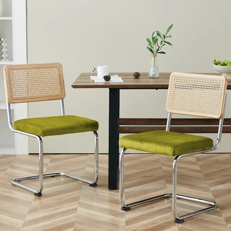 Chaises de salle à manger en rotin tapissées de velours, lot de 2/4