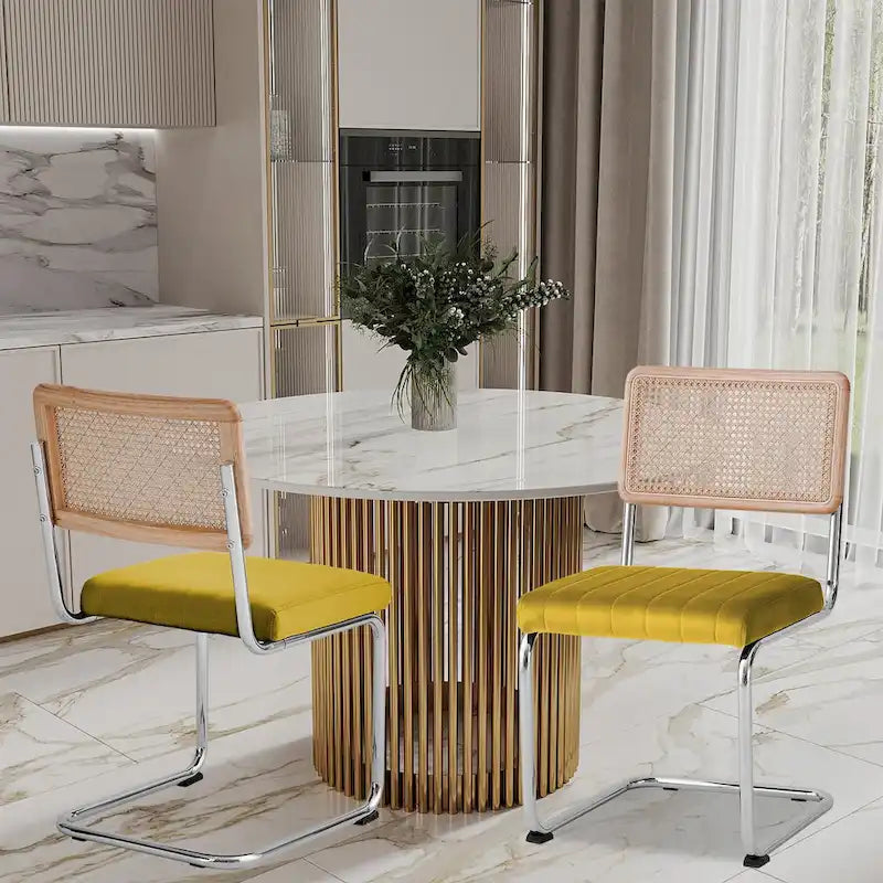 Chaises de salle à manger en rotin tapissées de velours, lot de 2/4