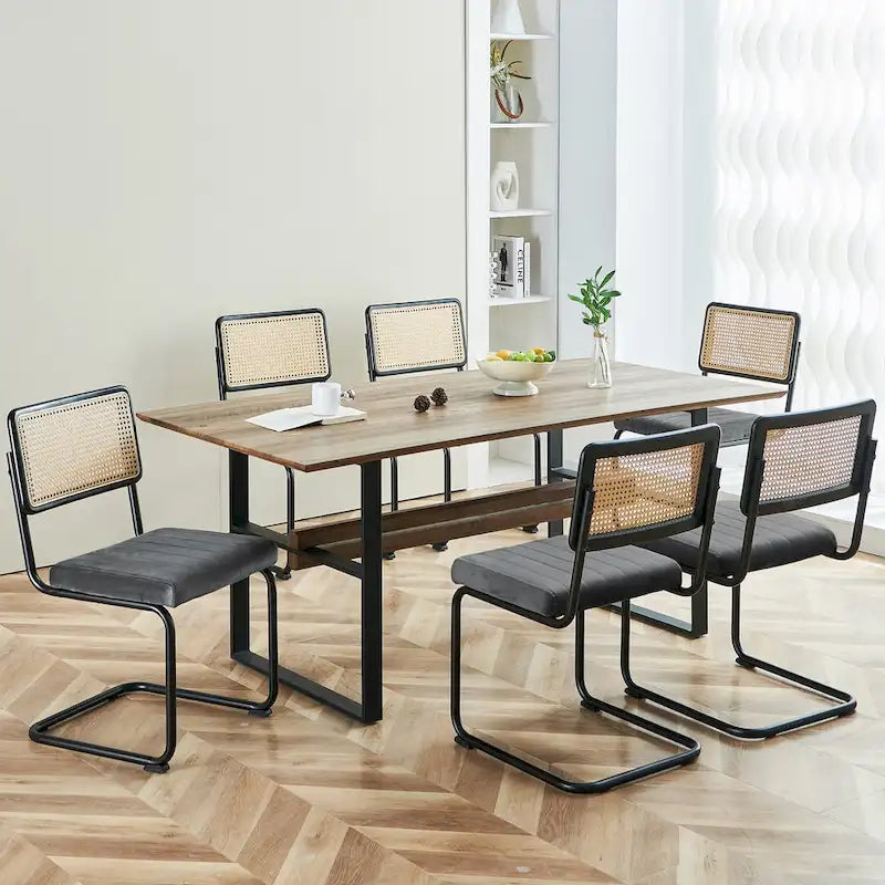 Chaises de salle à manger en rotin tapissées de velours, lot de 2/4