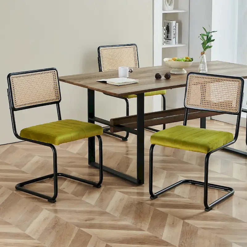 Chaises de salle à manger en rotin tapissées de velours, lot de 2/4