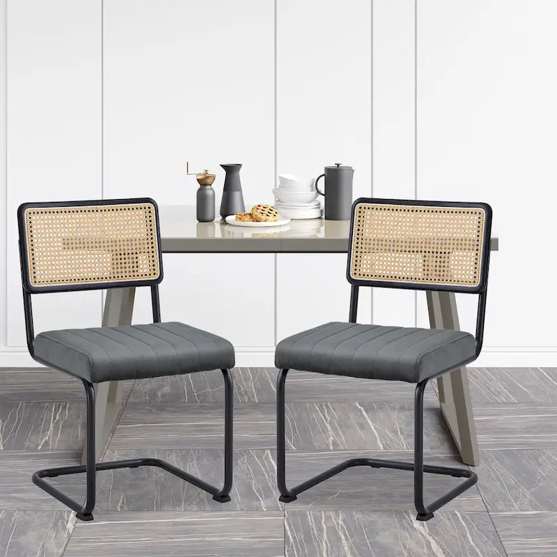 Chaises de salle à manger en rotin tapissées de velours, lot de 2/4