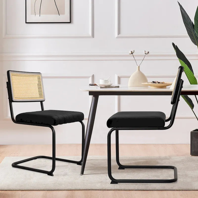 Chaises de salle à manger en rotin tapissées de velours, lot de 2/4