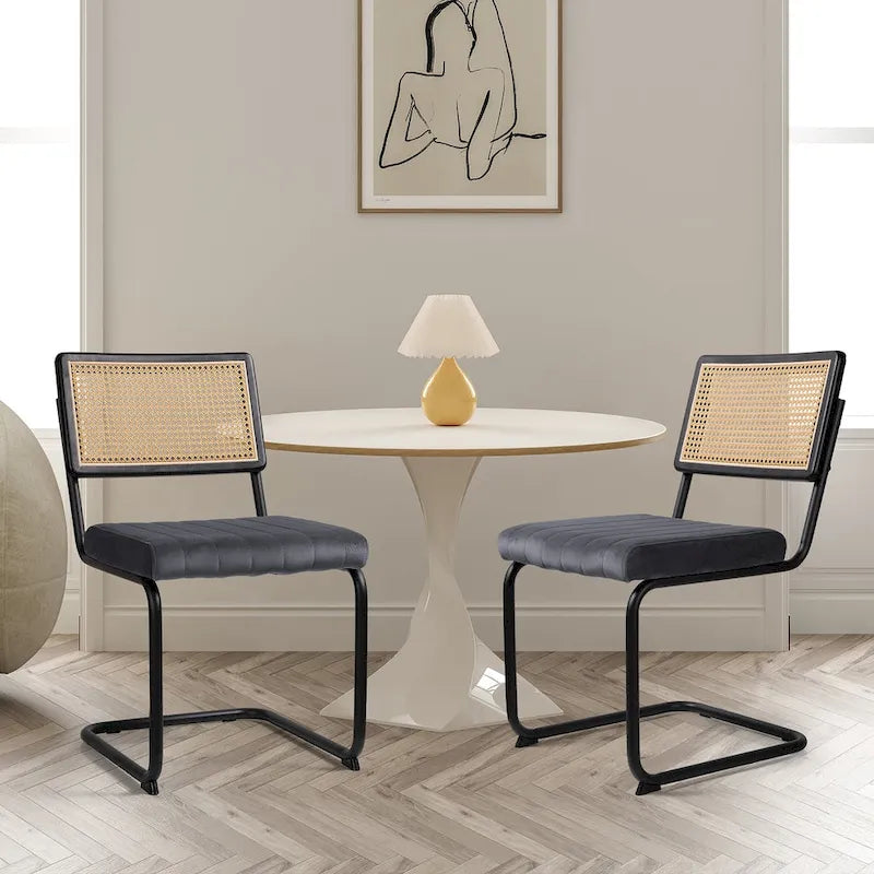 Chaises de salle à manger en rotin tapissées de velours, lot de 2/4