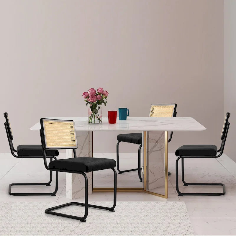 Chaises de salle à manger en rotin tapissées de velours, lot de 2/4