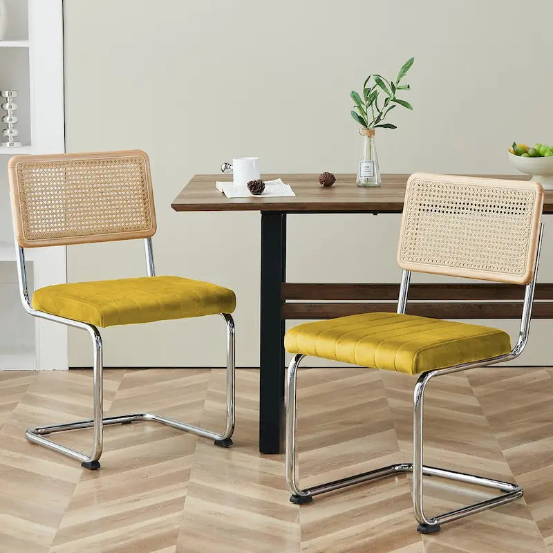 Chaises de salle à manger en rotin tapissées de velours, lot de 2/4