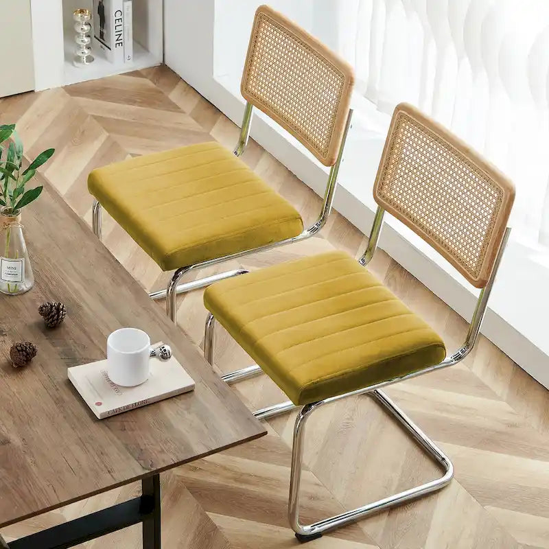 Chaises de salle à manger en rotin tapissées de velours, lot de 2/4