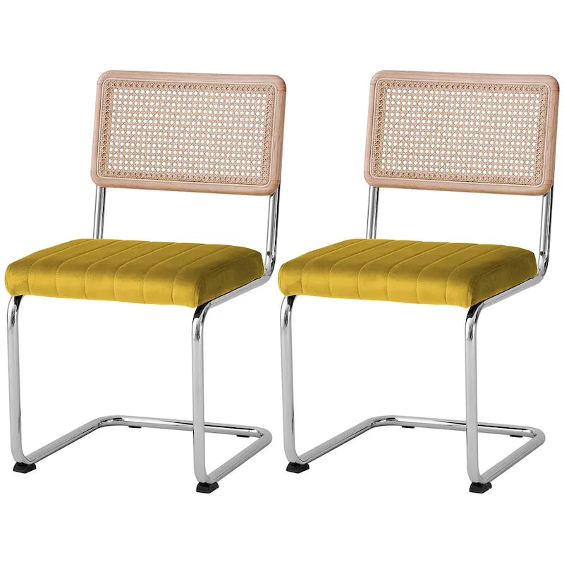 Chaises de salle à manger en rotin tapissées de velours, lot de 2/4
