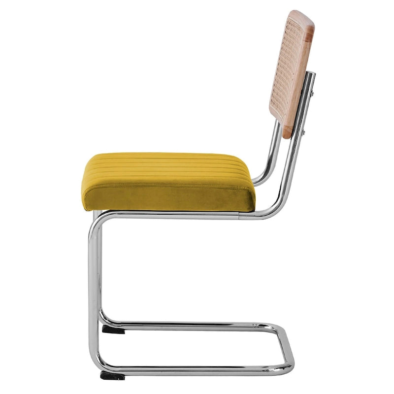 Chaises de salle à manger en rotin tapissées de velours, lot de 2/4