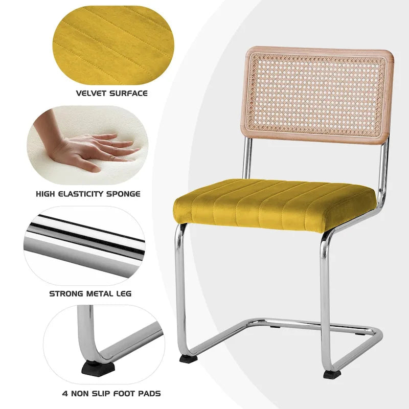 Chaises de salle à manger en rotin tapissées de velours, lot de 2/4