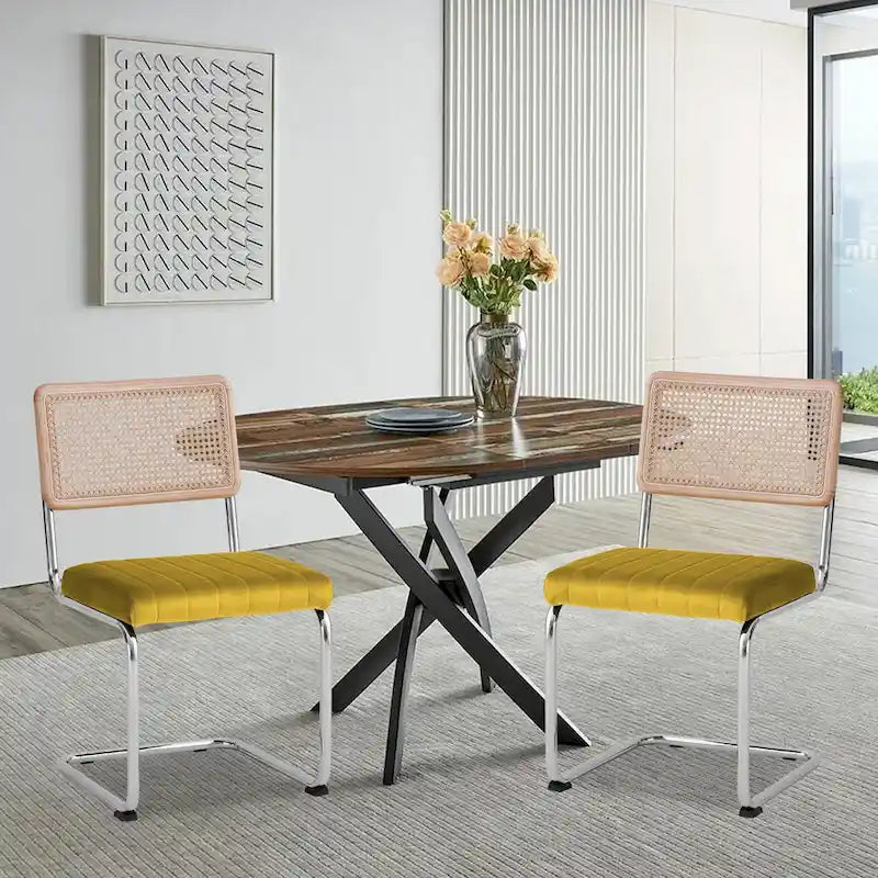 Chaises de salle à manger en rotin tapissées de velours, lot de 2/4
