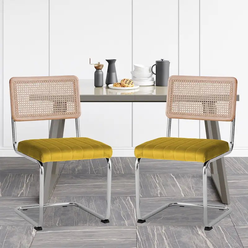 Chaises de salle à manger en rotin tapissées de velours, lot de 2/4