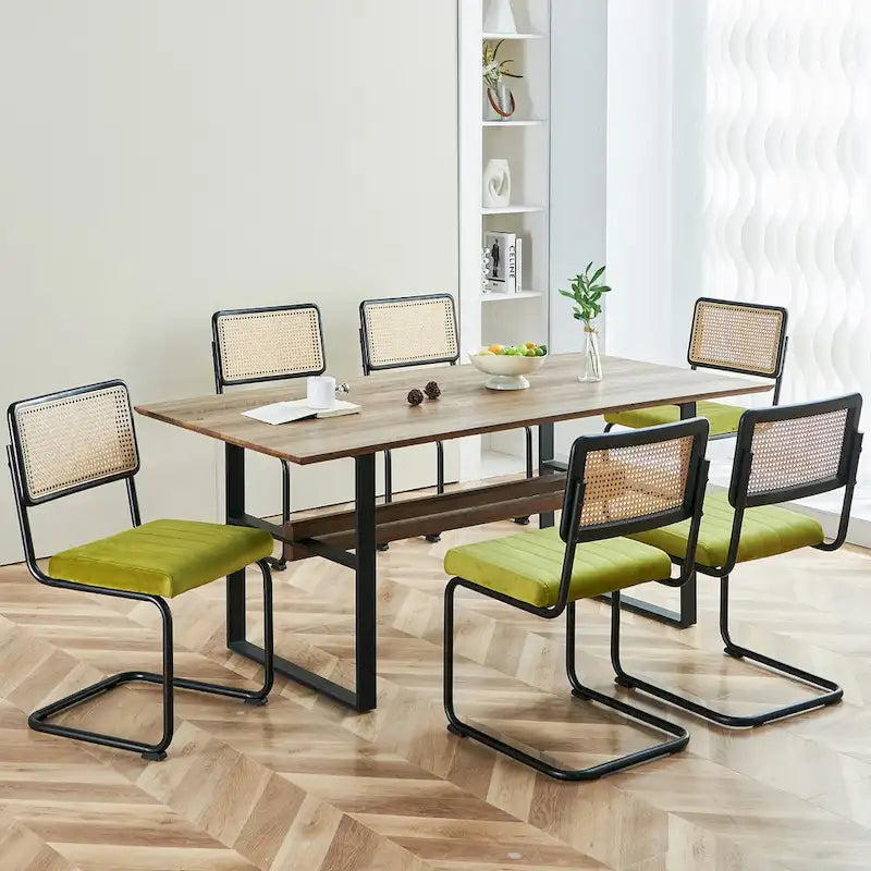 Chaises de salle à manger en rotin tapissées de velours, lot de 2/4
