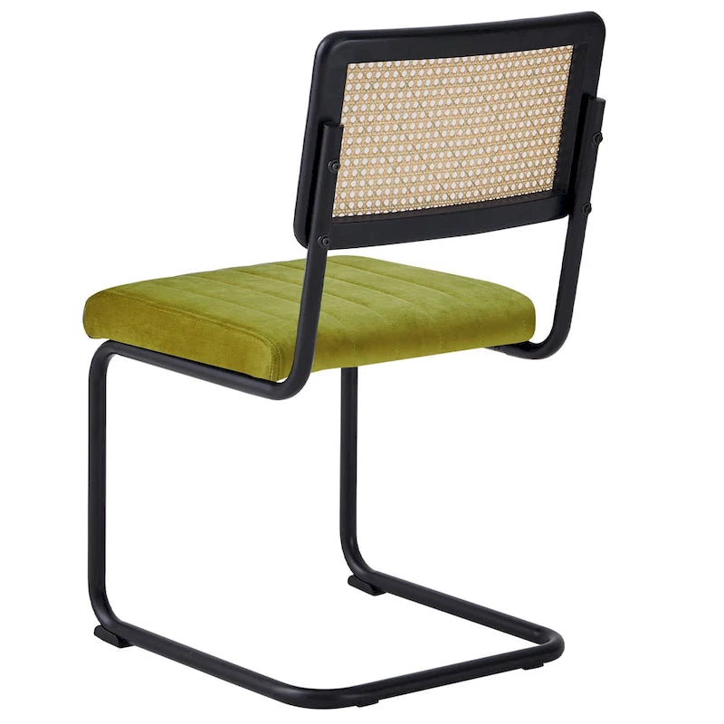 Chaises de salle à manger en rotin tapissées de velours, lot de 2/4